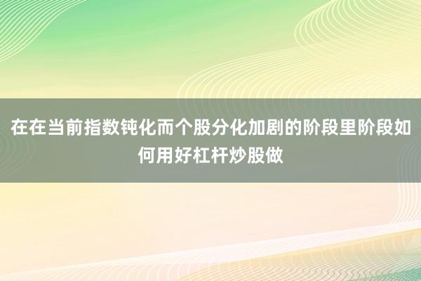 在在当前指数钝化而个股分化加剧的阶段里阶段如何用好杠杆炒股做